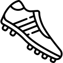 柳琴果